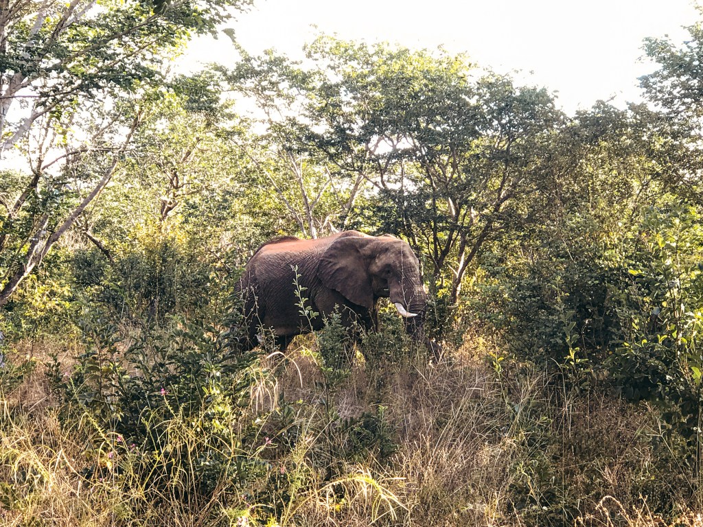 Rwanda: The Land of a Thousand Hills That Will Change How You Think About&nbsp;Africa